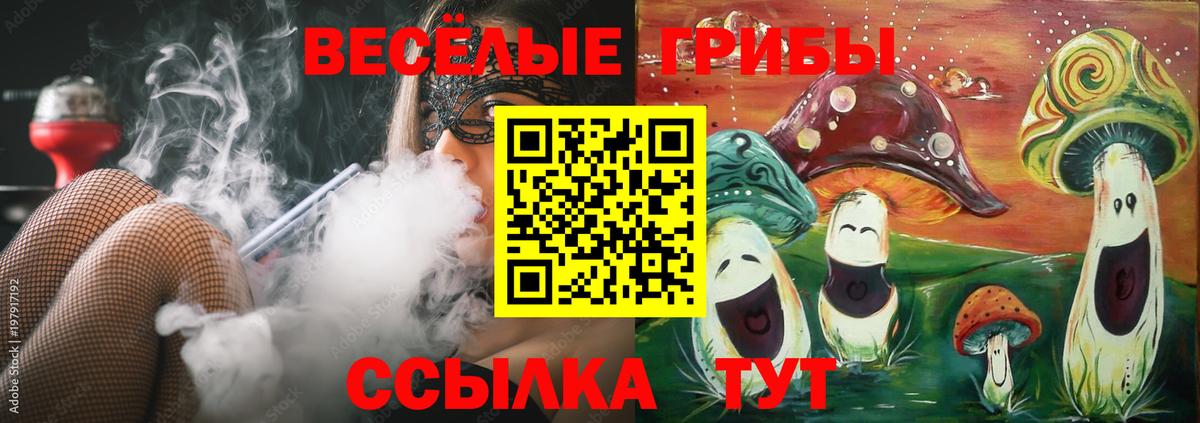 Псилоцибиновые грибы Cubensis Петропавловск-Камчатский